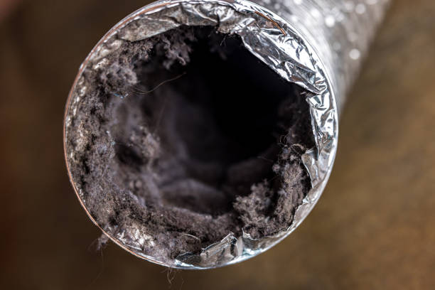 Best Commercial Air Duct Cleaning  in Friday Harbor, WA