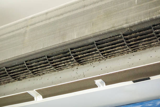 Best Duct Cleaning for Homes  in Friday Harbor, WA